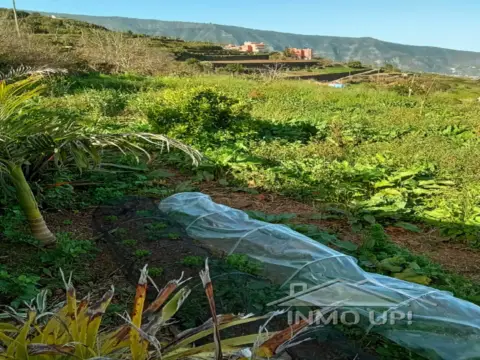 Casa en Aguamansa