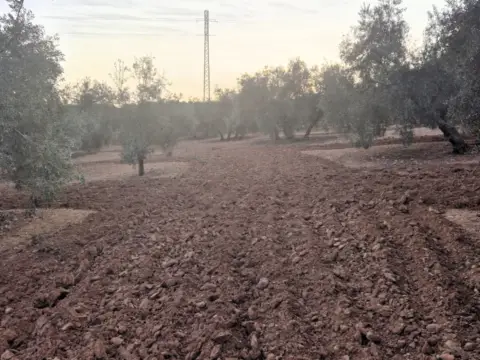 Finca rústica en Polígono Ventorros de Laguna, nº 1