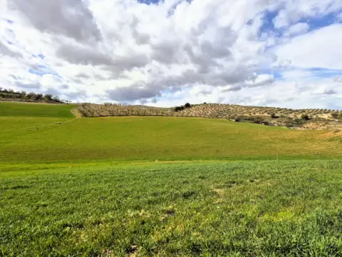 Finca rústica en Castillo de Tajarja