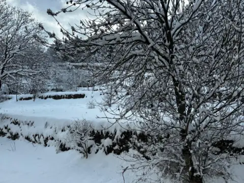 Estudio en Els Cortals