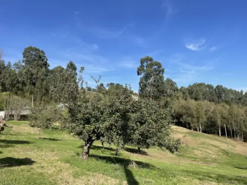 Terreno en Carretera de Peñaferruz, nº s/n