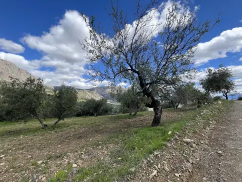 Terreno en calle Poligono 6, Parcela 352, nº 1