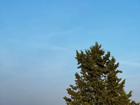 Chalet unifamiliar en calle de Felipe Olvera