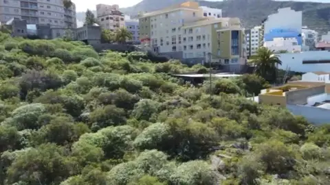 Terreno en calle Angel Guimera