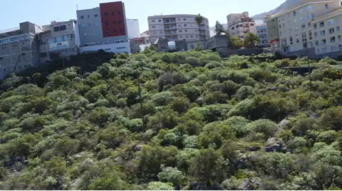 Terreno en calle Angel Guimera