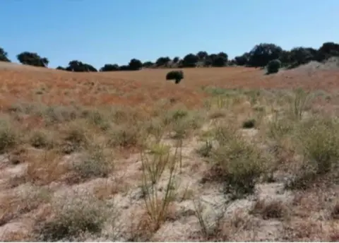 Finca rústica en Méntrida