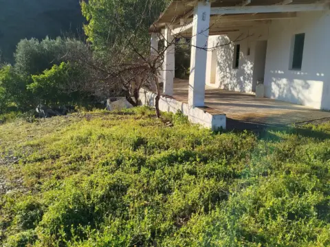 Finca rústica en El Romo