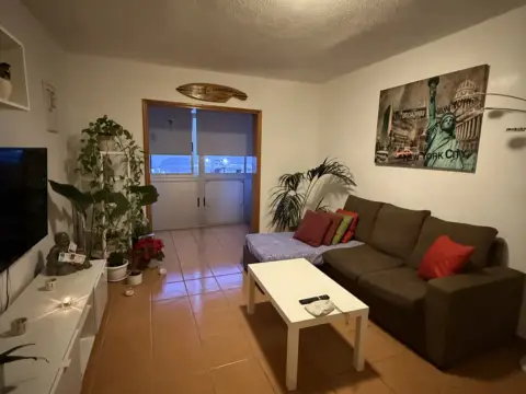 Piso en Avenida del Cardonal