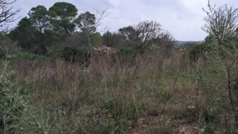 Terreno en Carretera Diseminados S´Illot