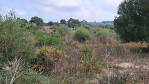 Terreno en Carretera Diseminados S´Illot