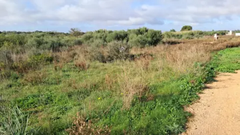 Terreno en Camí de Son Moix