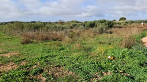 Terreno en Camí de Son Moix