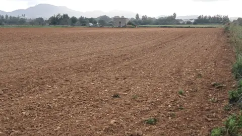Terreno en Camí de Son Moix