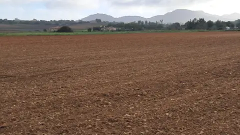 Terreno en Camí de Son Moix