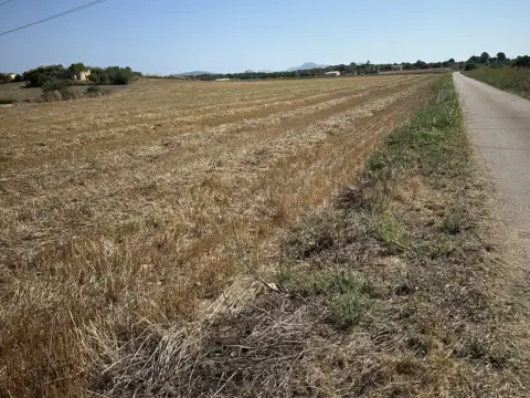 Terreno en Camí de Son Moix