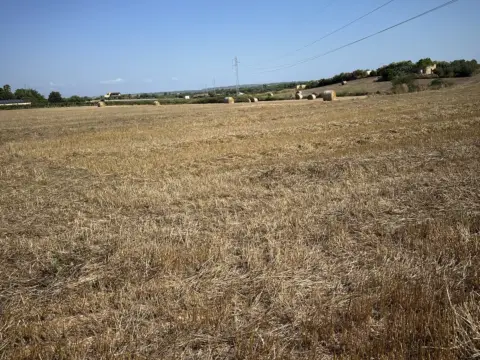 Terreno en Camí de Son Moix