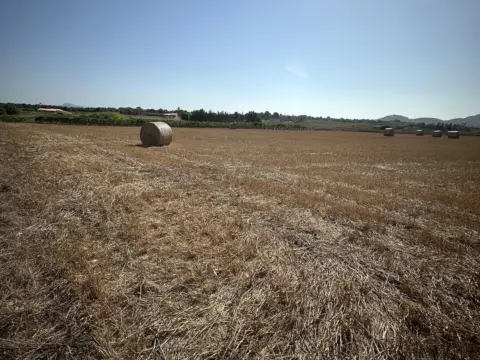 Terreno en Camí de Son Moix