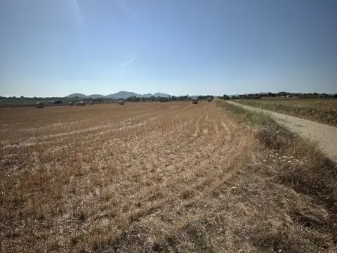 Terreno en Camí de Son Moix