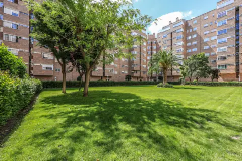Piso en calle de la Alameda