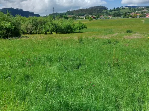 Terreno en calle Feleches