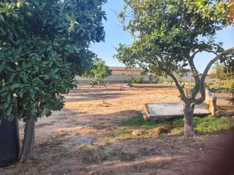 Terreno en Carretera de la Jara