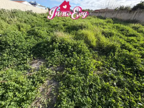 Terreno en Camino de la Cabeza de Vaca