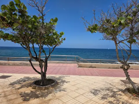 Piso en Avenida Palm-mar, 5
