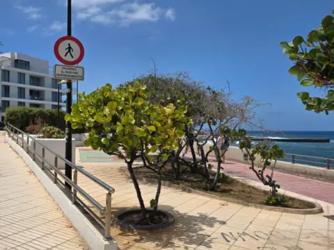 Piso en Avenida Palm-mar, 5