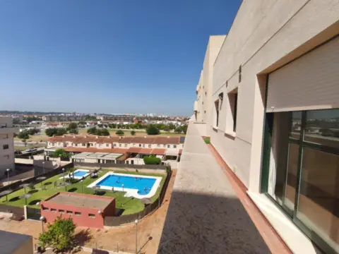 Piso en Avenida Rey Don Juan Carlos I