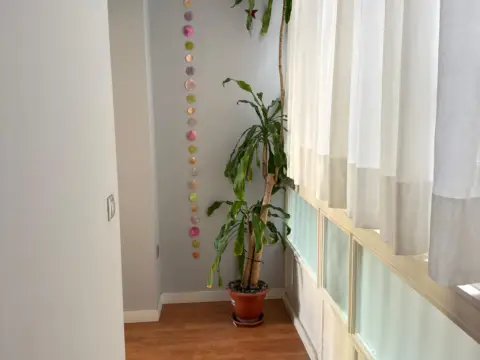 Apartamento en calle Topete