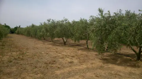 Finca rústica en Camí del Roquis