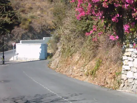 Terreno en calle Naranjo, 2003