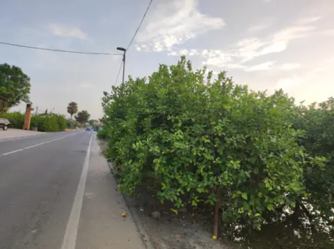 Terreno en Carretera de Beniel