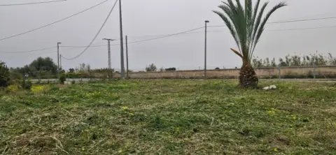 Terreno en Camino Viejo de Orihuela