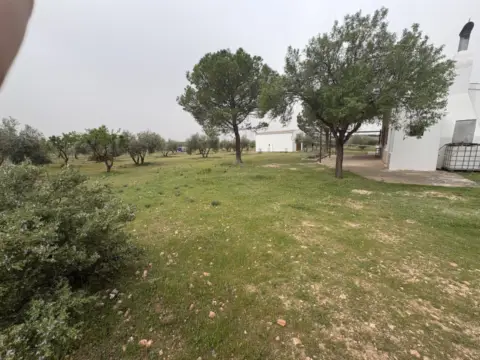 Terreno en Carretera de Ossa de Montiel