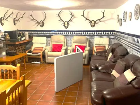 Chalet en calle Eusebio Centenera