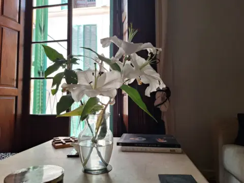 Piso en Carrer de Sant Elíes