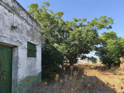 Nave industrial en Avenida de la Marina