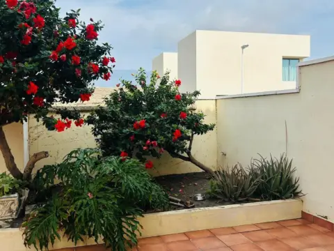 Chalet en calle Violeta