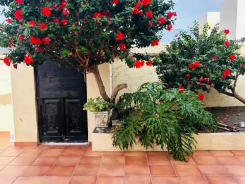 Chalet en calle Violeta