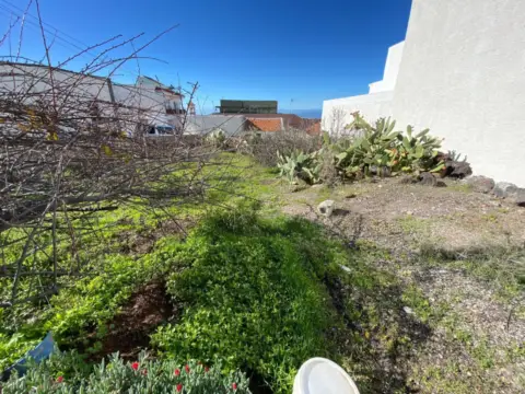 Terreno en calle Paraiso