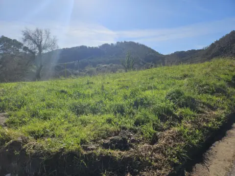 Terreno en calle Cardoso