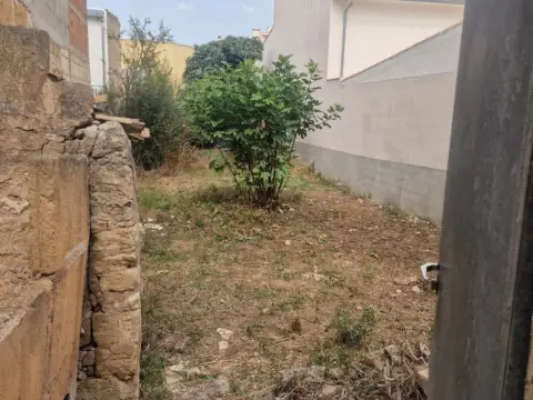 Terreno en Manacor