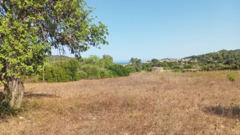 Terreno en Carrer de Son Servera, nº 00