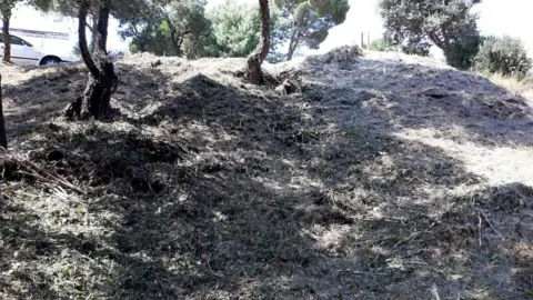Terreno en Vidreres