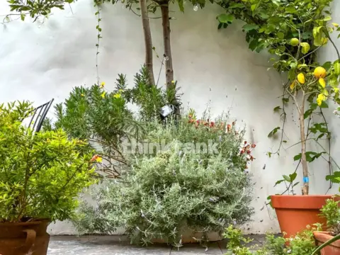 Piso en calle del Cardenal Cisneros