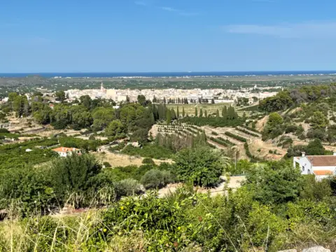 Terreno en Carrer del Xical, 1