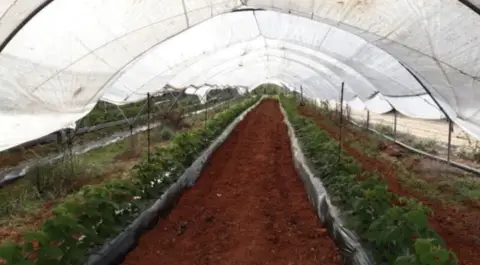 Finca rústica en Moguer
