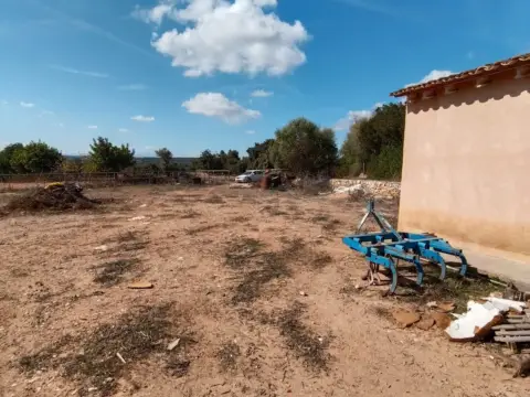 Terreno en Camí de Son Talent