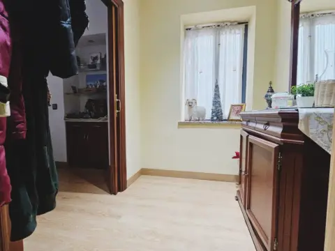 Piso en Avenida de José Solís Ruiz, 46